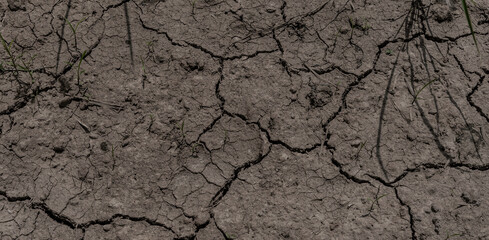 soil crack on an agriculture farm which effect of climate changed. concept for arid area ,climate change, sustainability,drought
