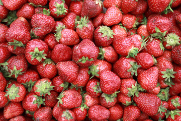 View of Strawberries