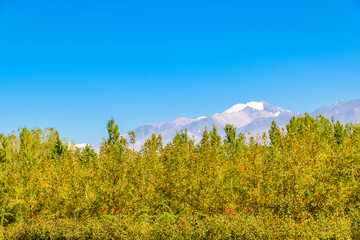 Countryside Landscape Scene, San Juan Province, Argentina