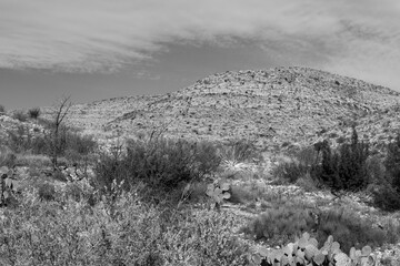 Desert landscape in Black and White
