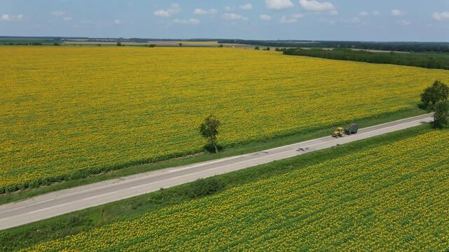 Flying above a road that crosses sunflower fields while two cars overtake a tractor
