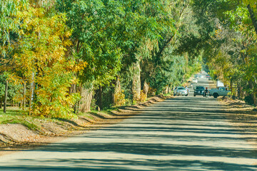 Wooded Avenue, Barreal Village, San Juan Province, Argentina
