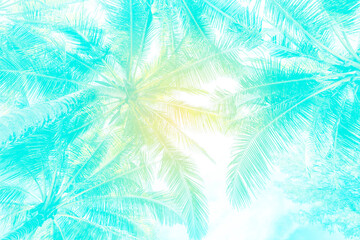 Abstract tropical nature background, summer concept background