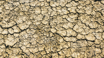 Trockenheit und Dürre als Folge des Klimawandels 