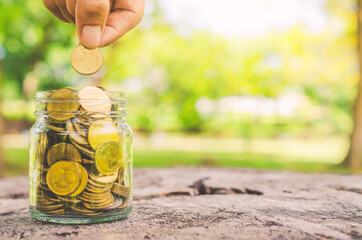 investor business man hand putting coins in jar on wood table with blur nature park background. money saving concept for financial banking and accounting.