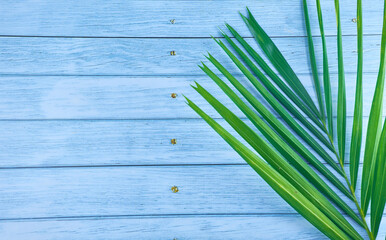 Beautiful tropical  palm leaf on color background, top view.