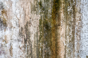Old dirty concrete wall covered with moss mold