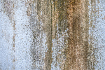 Old dirty concrete wall covered with moss mold