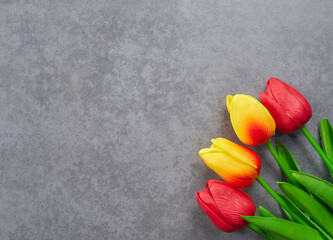 colorful tulips on grey background