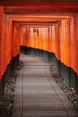 Puertas tori en el templo fushimi inari taisha