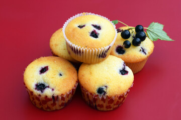 Summer baking - delicious homemade muffins with black currant