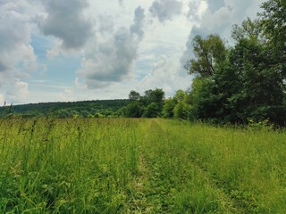 road overgrown with green grass against a cloudy sky before the rain