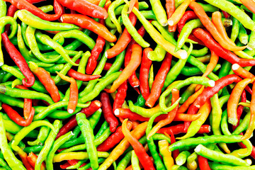 Fresh green,orange,yellow and red chili pepper texture abstract background