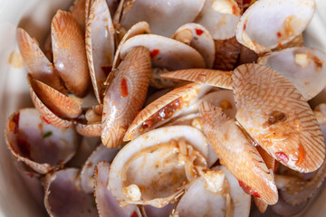 Surf clam, Short necked clam, Carpet clam,Venus shell clam for cooking food. Shells, Food waste.
