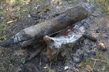 The fire, the burning logs.