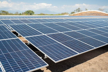 Solar Farm panels