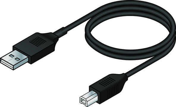A USB (universal serial bus) cable. USB 2.0 type A to type B.