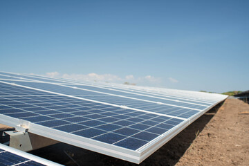 Solar Farm panels