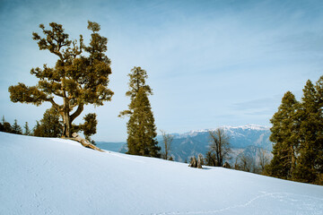 The snow-capped high mountain of the Himalayan range of India, amazing view of in winter trek to Kedarkantha peak, Govind wildlife sanctuary Uttarakhand, India.