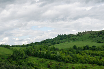 Beautiful mountain landscape many trees