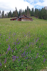 Fototapeta premium Hütte am Nigerpass