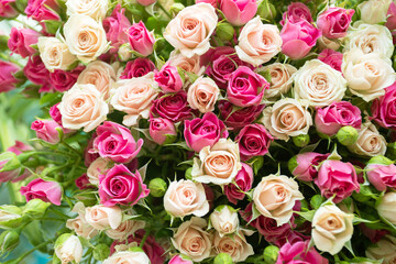 Background flowers bouquet of fresh roses