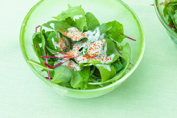 ベビーリーフのグリーンサラダ