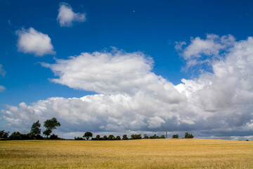 Landscape with clouds, blue sky and ocher field