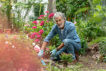 Senior gardening