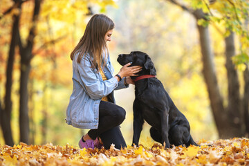 girl with her dog labrador in autumn sunny park