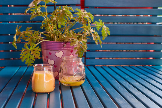 Citronella Candle and plant