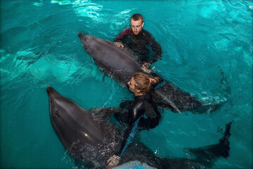 trainers dolphin are engaged in a pool