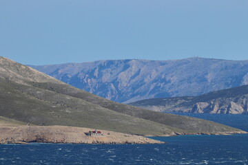 blick auf teile der kroatischen insel prvic