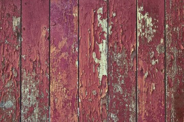 Texture of an old fence painted with red paint. The paint peeled off.