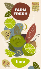 Food label template. vector illustration for organic lime fruit. natural bio fruits package design. ripe lime fruits with abstract memphis style background. eco concept farm fresh label.