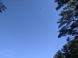 Blue sky 