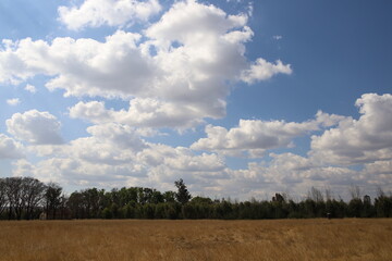 Obraz premium clouds and sky