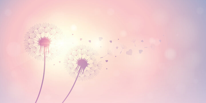 dandelion silhouette with flying seeds and hearts for valentines day vector illustration EPS10