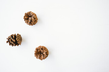 Natural brown pine cones on white wood background.