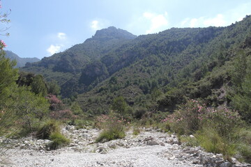 mountain river in the mountains