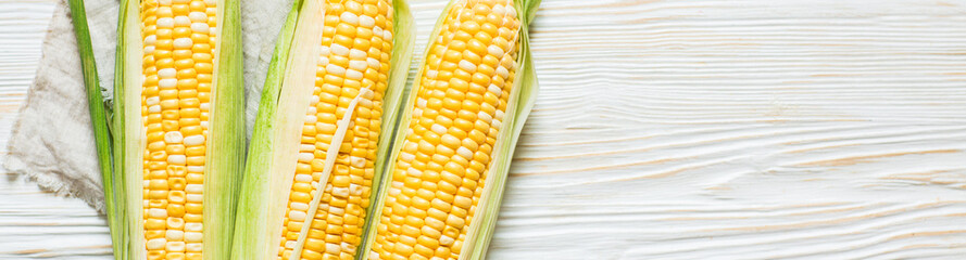 Fresh corn on the cob on a white wooden background