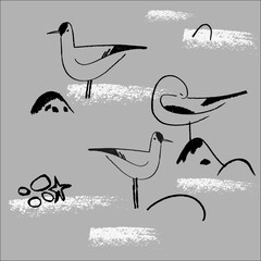 Seamless hand drawn pattern with birds.