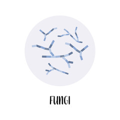 Fungi, fungus. Soil bacteria. Mycology. Morphology. Microbiology. Vector flat illustration