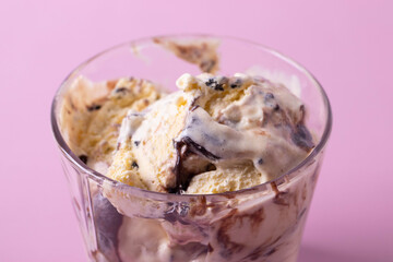 delicious vanilla and chocolate sweet natural milky ice cream