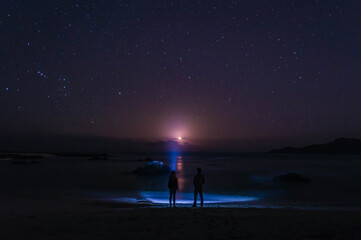 
young couple enjoy the solitude of the night and the night moon