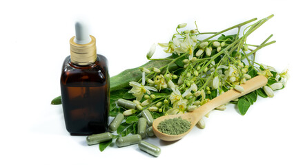 Moringa is an herbal plant extract used as medicine.