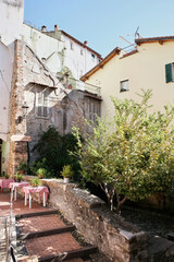 Fototapeta na wymiar Aged buildings and olive tree in Sanremo, Italy