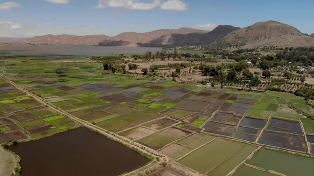 Beautiful valley with green rice paddy fields near Ampefy, Itasy district region, famous travel destination in Madagascar and agricultural hub 