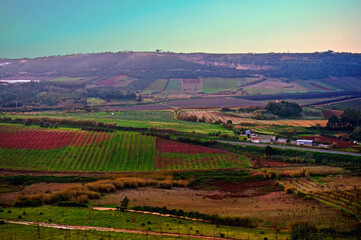 Obraz premium vineyard in portugal