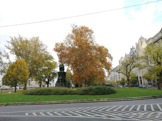 Il foliage con alberi e foglie gialle